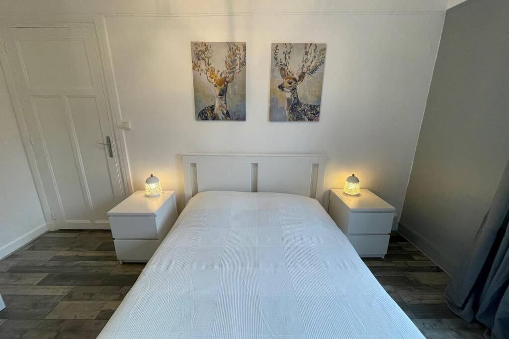 Appartement Moderne Boulogne Sur Mer Proche De La Plage Et Nausicaa Eksteriør bilde